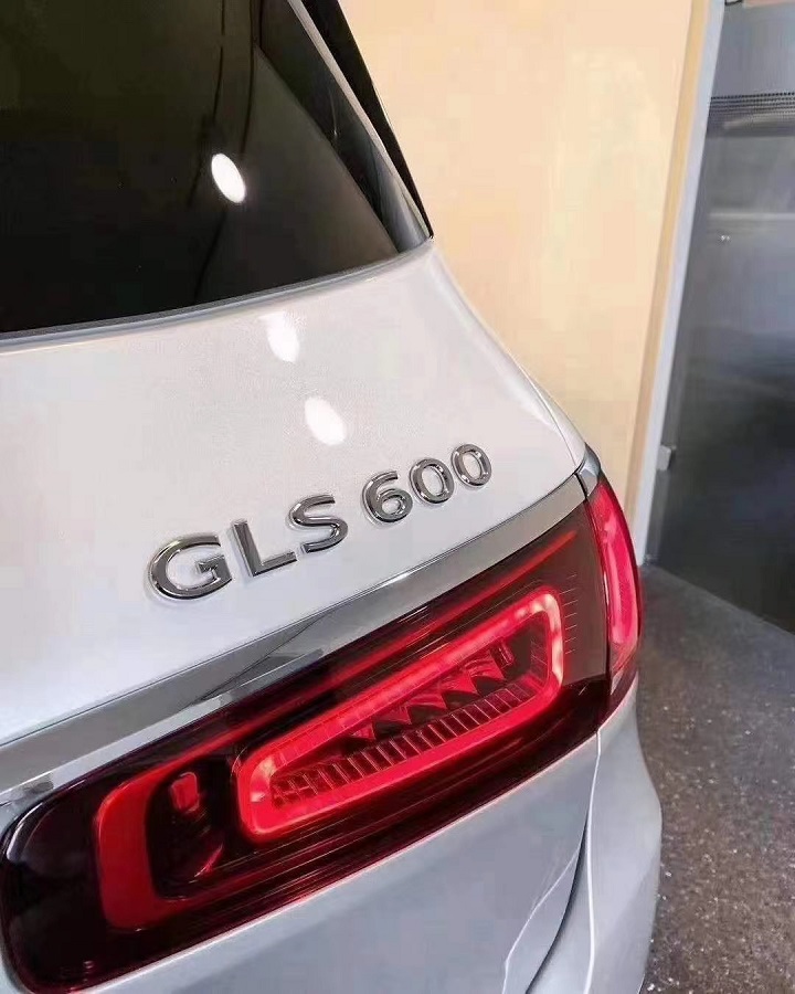 GLS600 (4).jpg